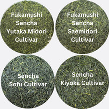  2024 First Flush Sencha from Kagoshima - 30g x 4 packages