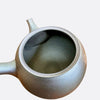 TOKUTA FUJITA - Tanka Dot Kyusu Teapot