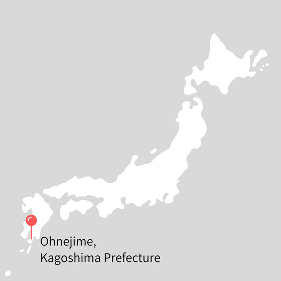 2024 First Flush Fukamushi Sencha - Saemidori cultivar from Kagoshima