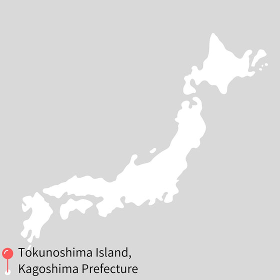 2024 First Flush Sencha - Sofu Cultivar from Tokunoshima Island, Kagoshima