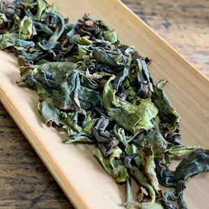 5 tea varieties of 2023 First Flush from Kyushu region - Sencha, Kamairicha and Tamaryokucha