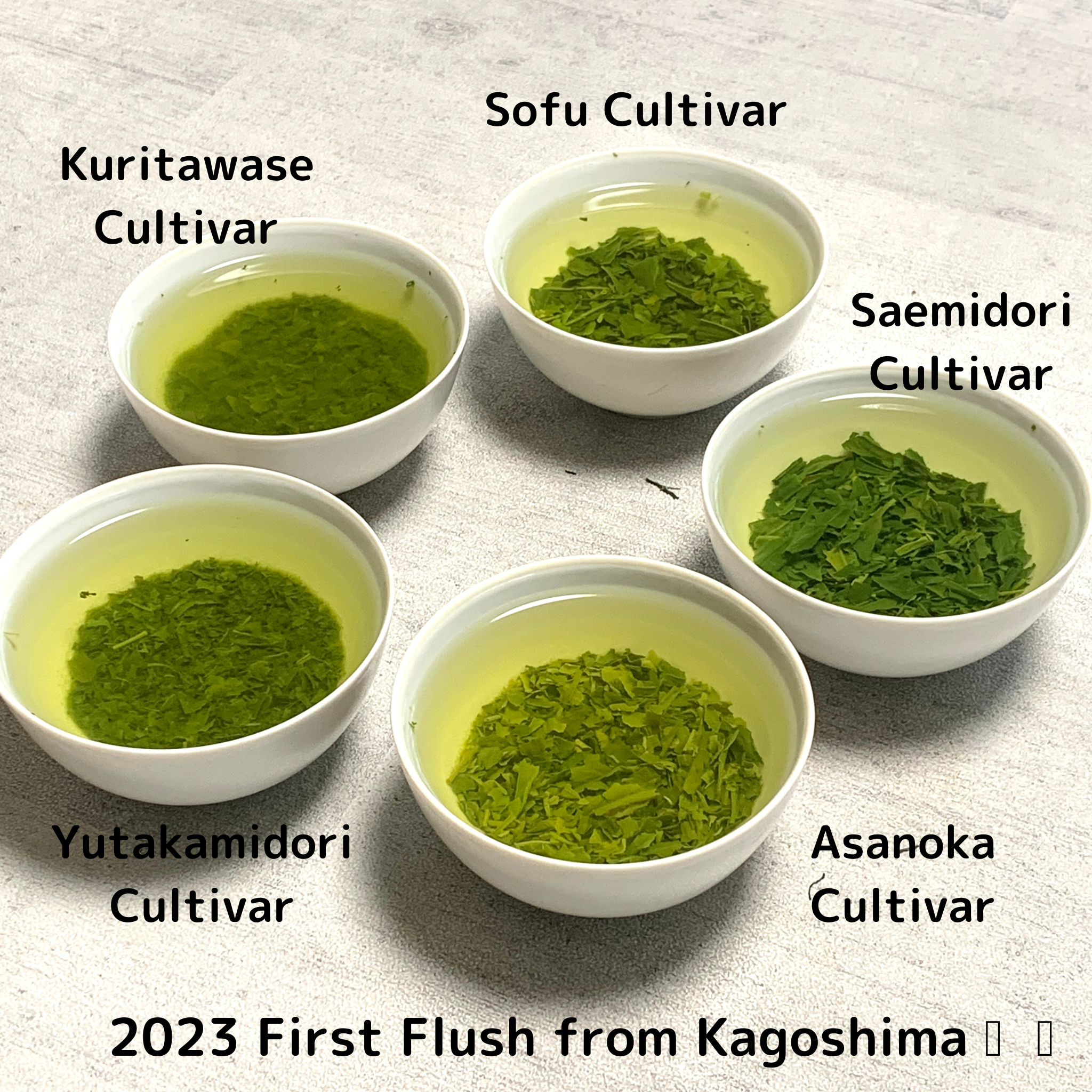 5 sencha varieties of 2023 First Flush from Kagoshima