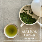 5 tea varieties of 2023 First Flush from Kyushu region - Sencha, Kamairicha and Tamaryokucha