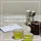 5 sencha varieties of 2023 First Flush from Shizuoka and Kyoto