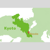 5 sencha varieties set of 2023 First Flush from Shizuoka and Kyoto