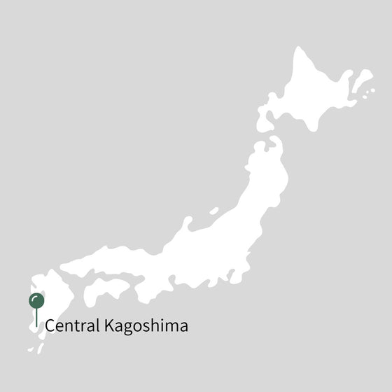 Fukamushi Sencha from Central Kagoshima - Grand Prize at 2023 Nihoncha Award