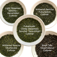  5 tea varieties set of 2023 First Flush from Sayama