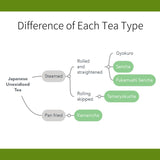 5 tea varieties of 2023 First Flush from Kyushu region - Sencha, Kamairicha and Tamaryokucha