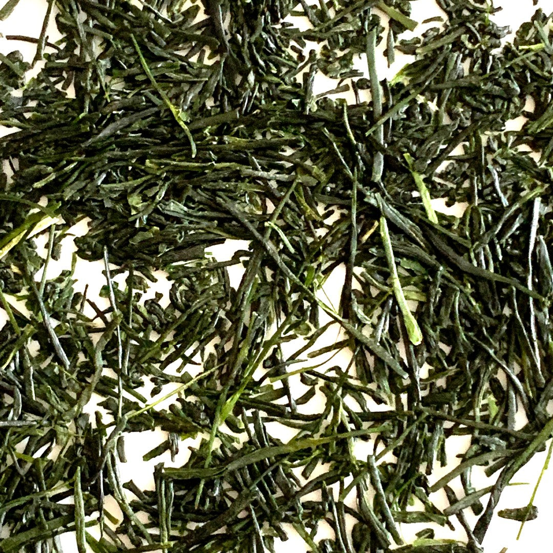 SENCHA: Asanoka Cultivar, 100g/3.5oz